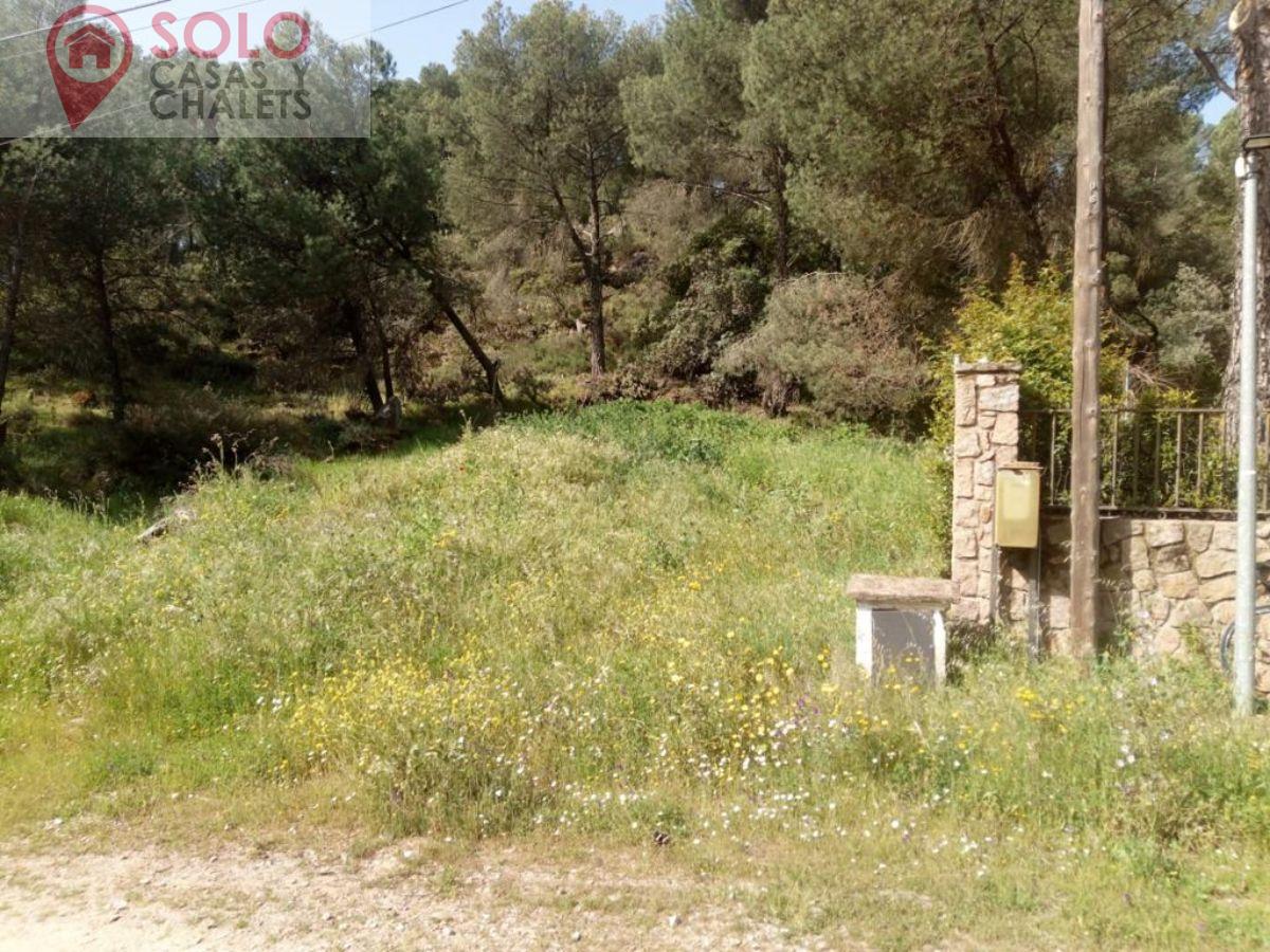 For sale of land in Córdoba