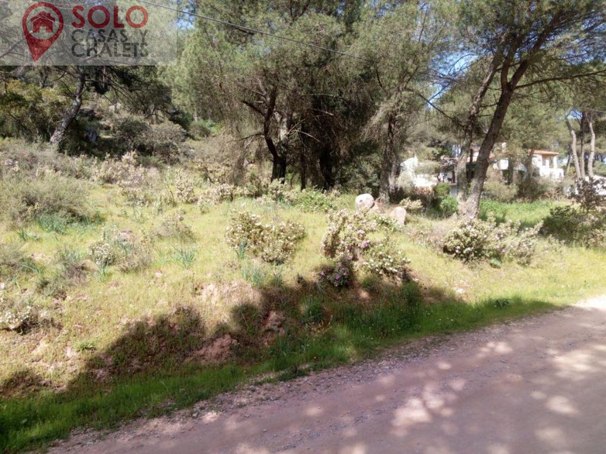 For sale of land in Córdoba