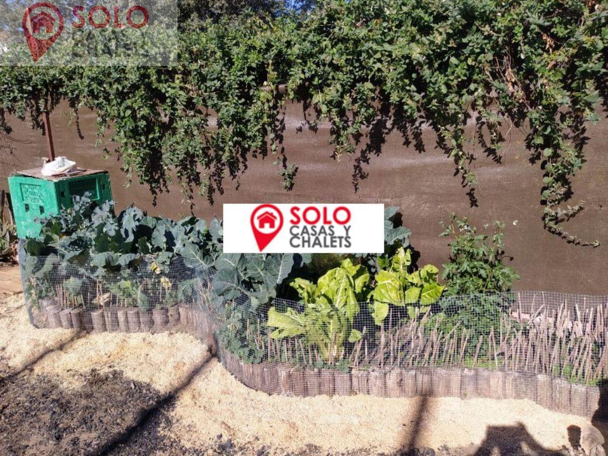 For sale of house in Córdoba