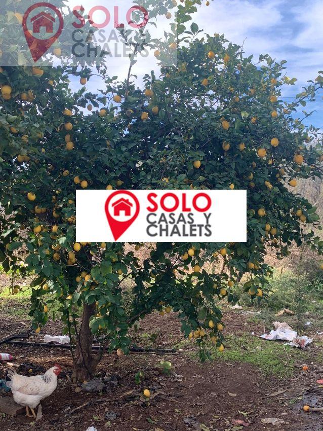 For sale of house in Córdoba