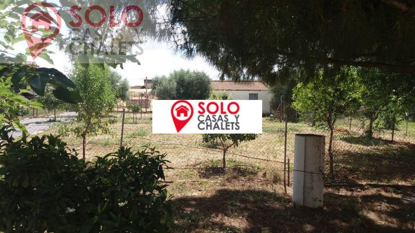 For sale of house in Córdoba