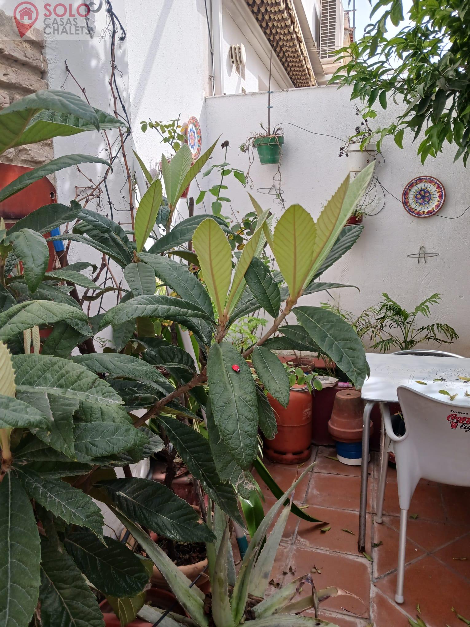 For sale of house in Córdoba