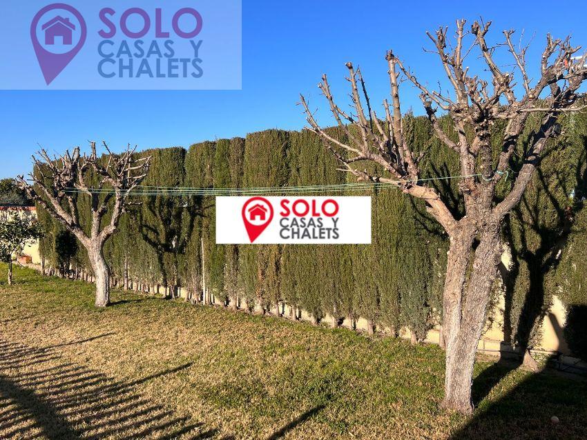 For sale of house in Córdoba