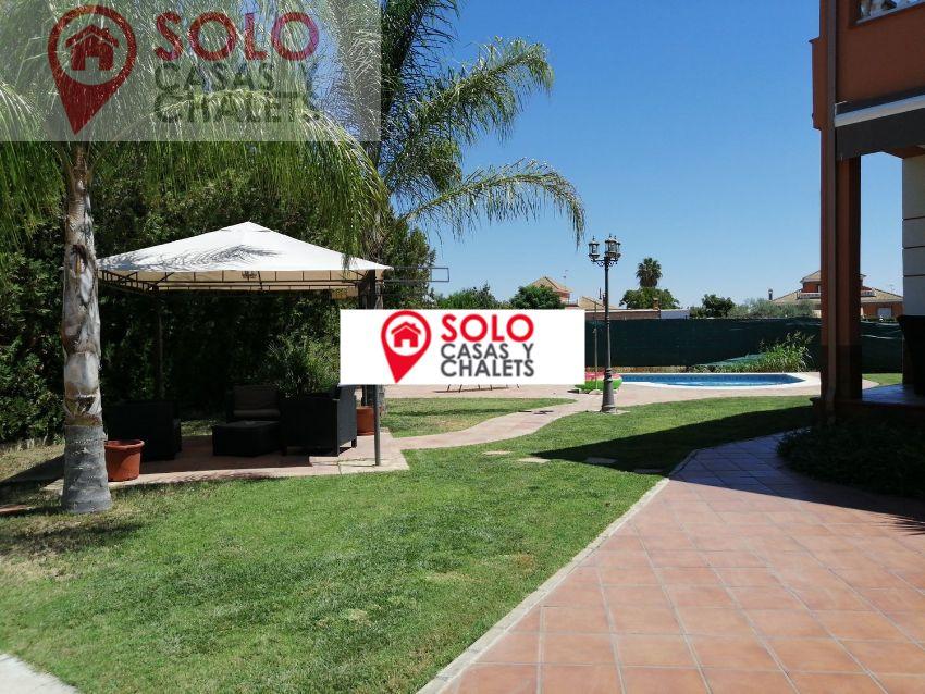 For rent of study in Córdoba