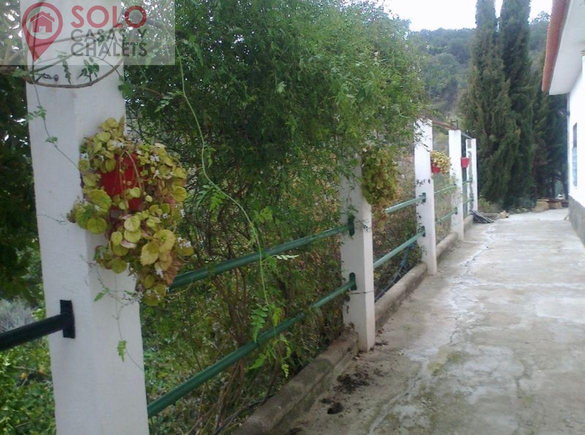 Venta de casa en Almodóvar del Río