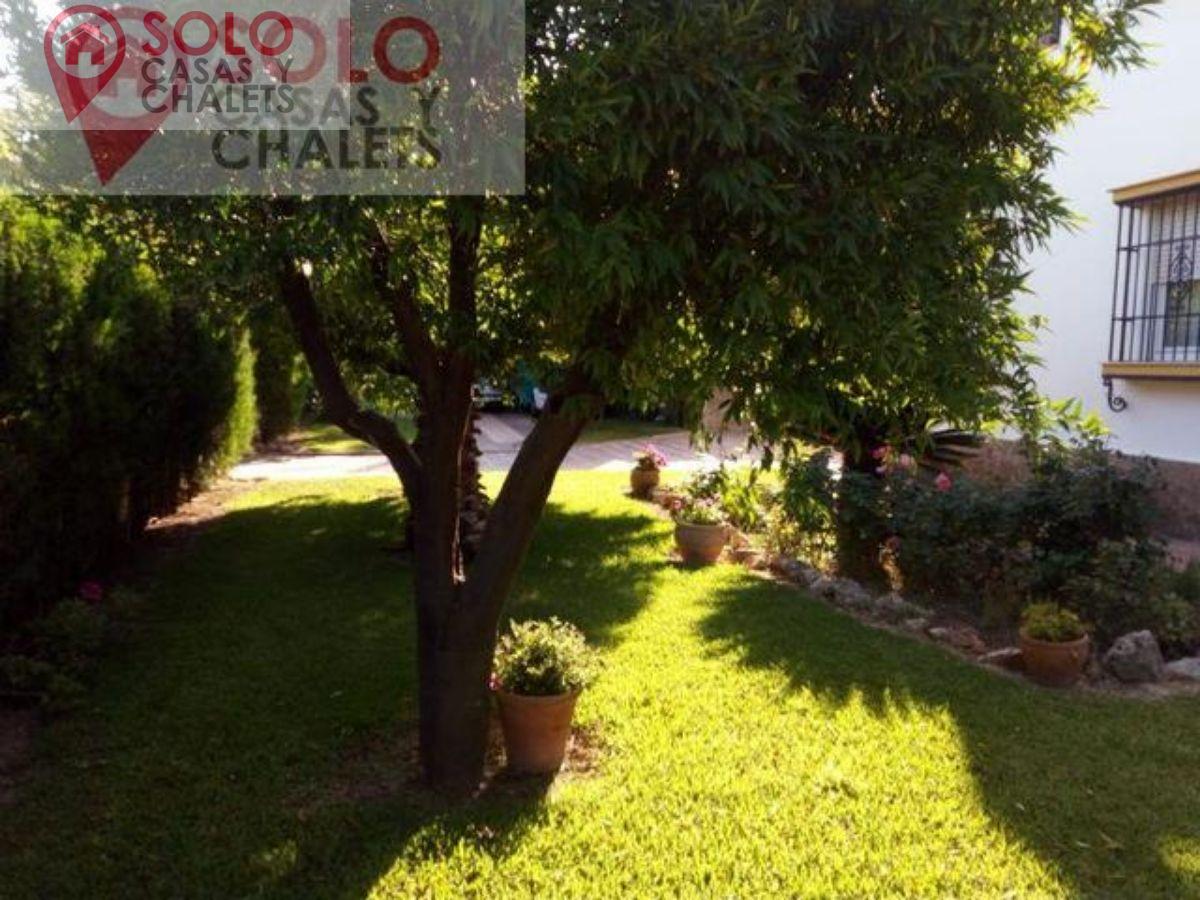 Venta de chalet en Córdoba