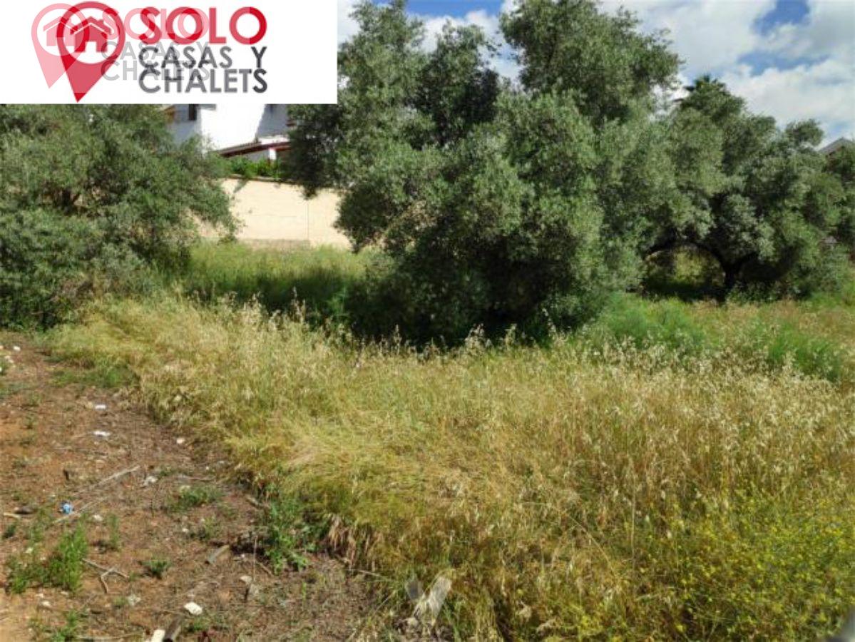 For sale of land in Córdoba