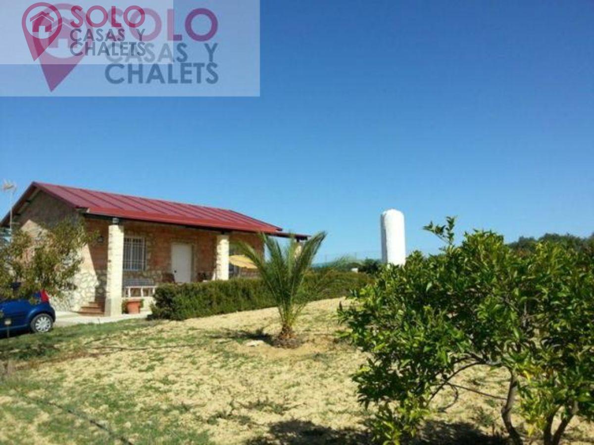 For sale of house in Montemayor