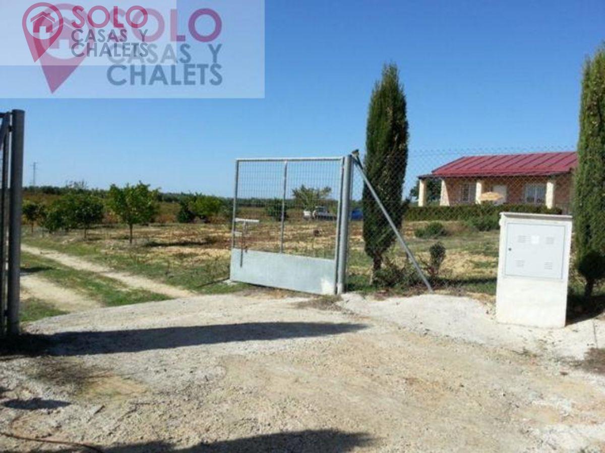 For sale of house in Montemayor