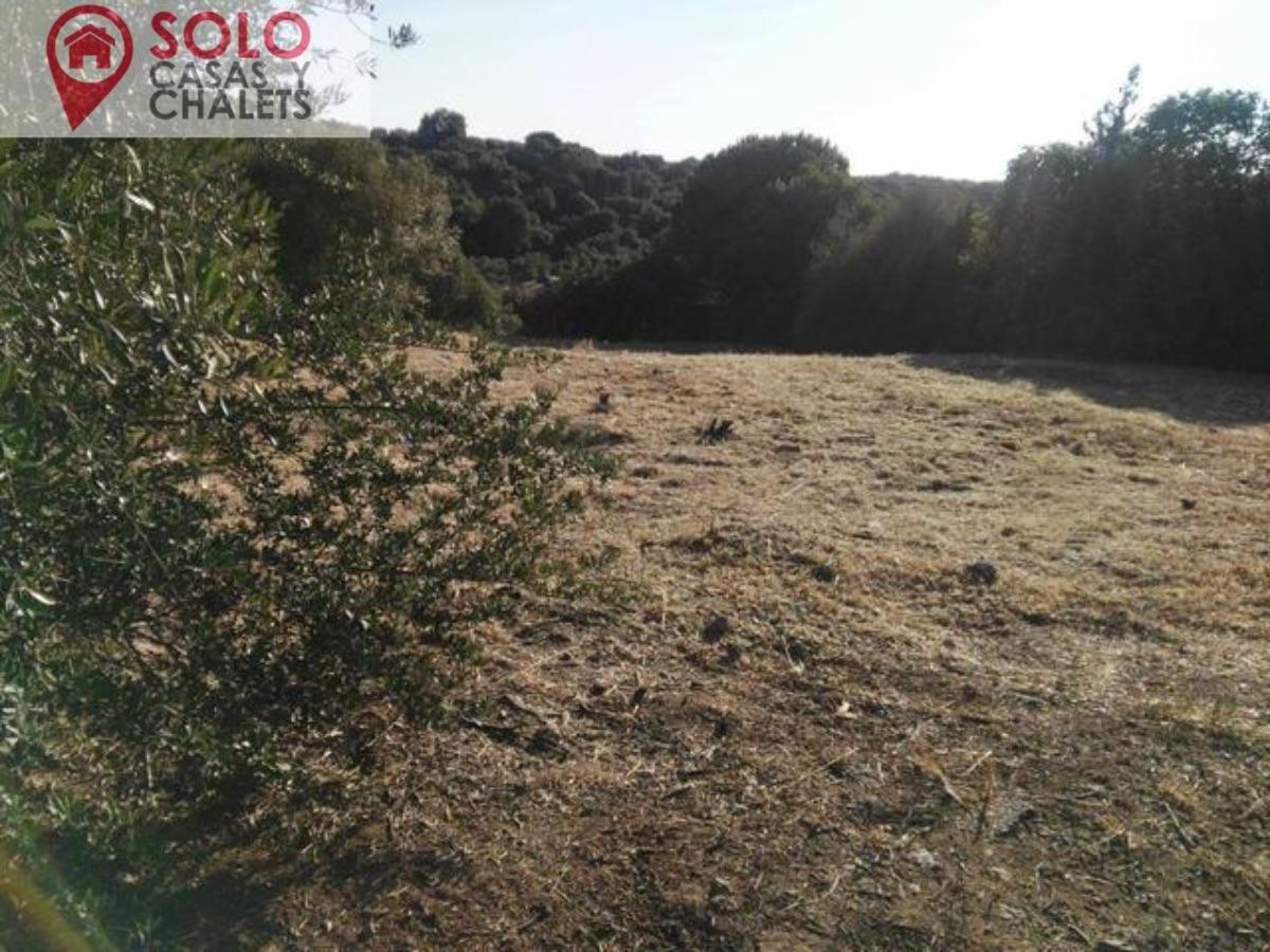 For sale of land in Córdoba