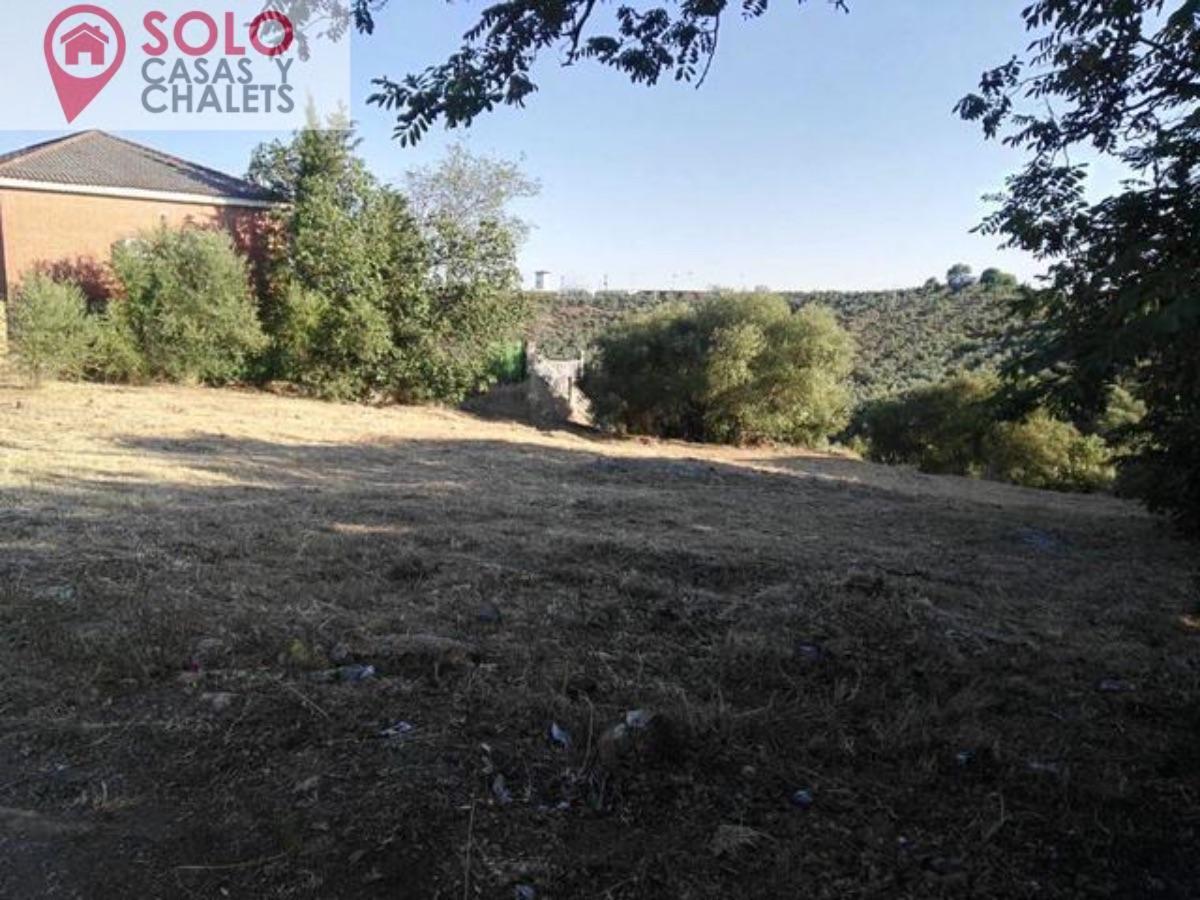 For sale of land in Córdoba