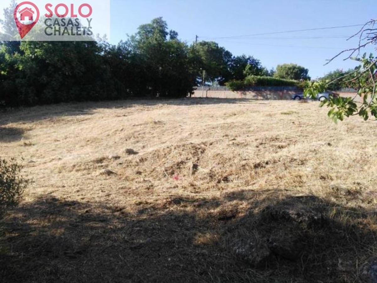 For sale of land in Córdoba