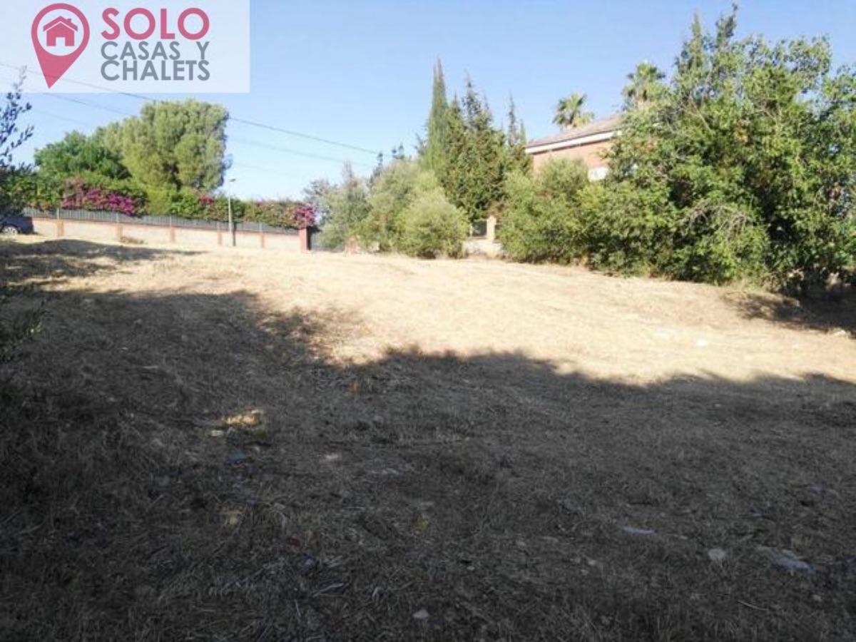 For sale of land in Córdoba