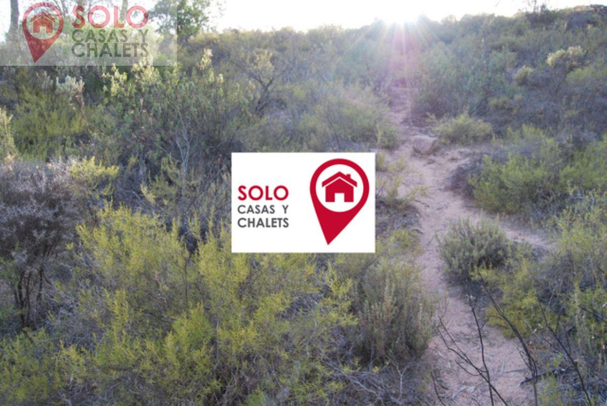 For sale of land in Córdoba