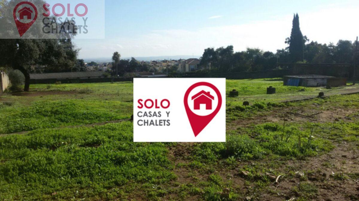 For sale of land in Córdoba