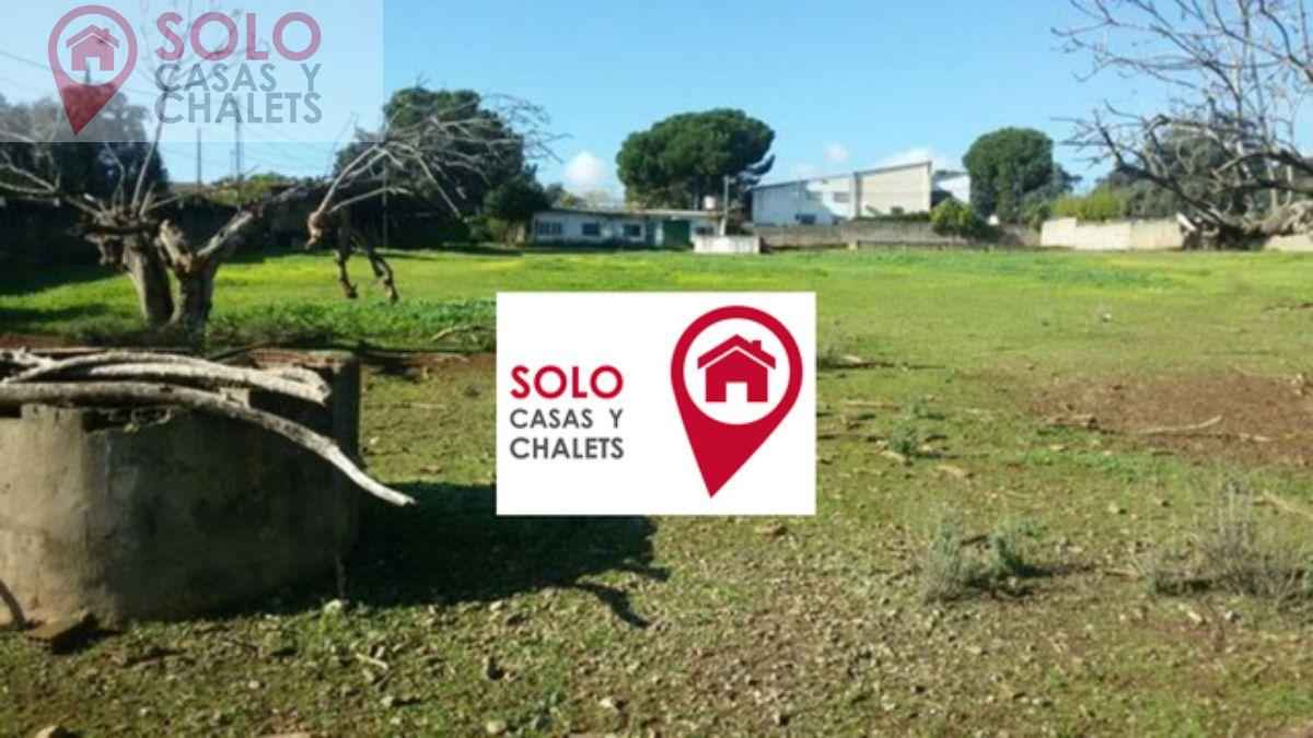 For sale of land in Córdoba