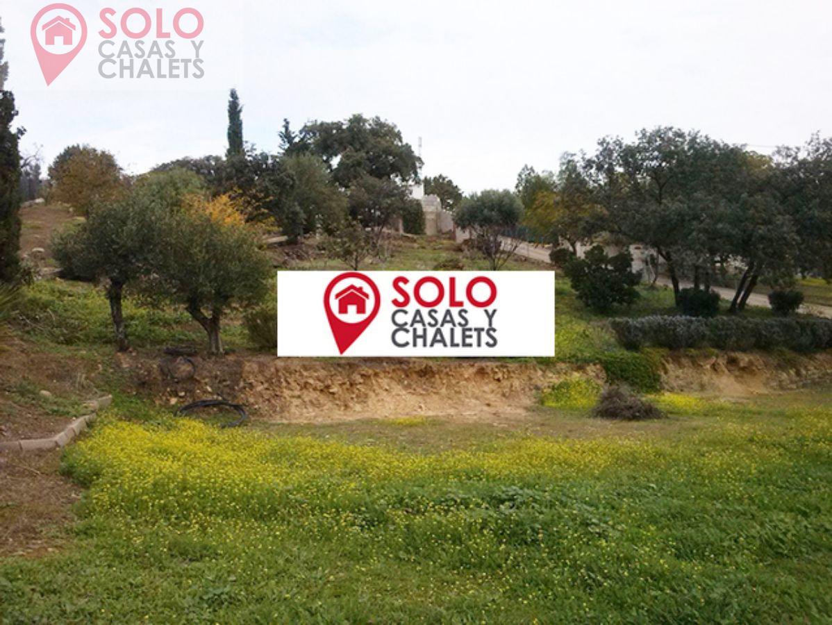 For sale of land in Córdoba