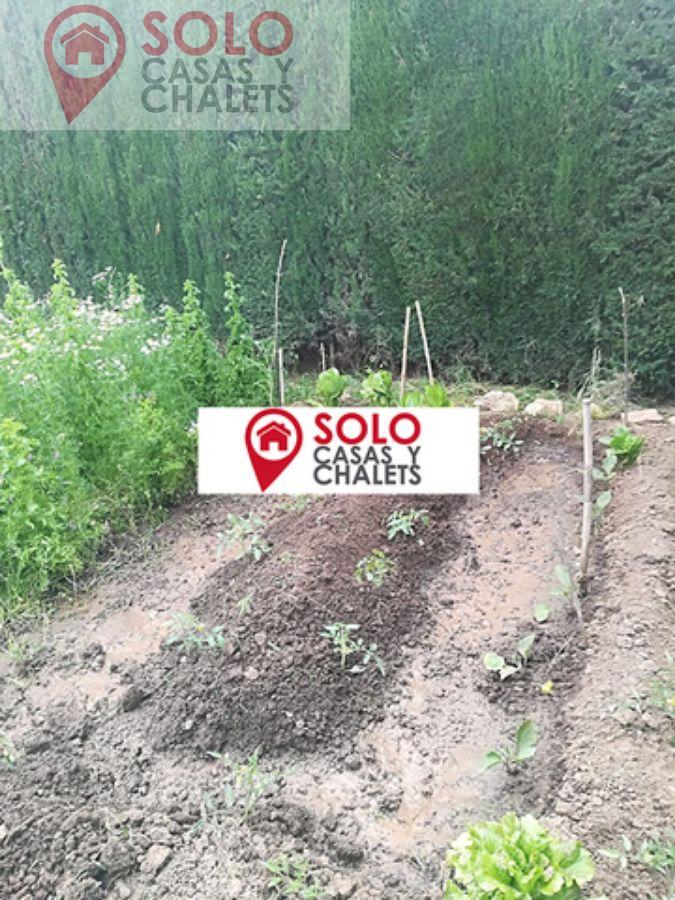 Venta de chalet en Córdoba