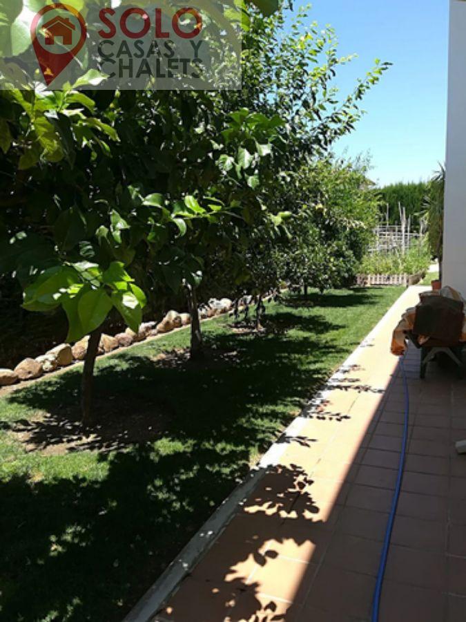 Venta de chalet en Córdoba