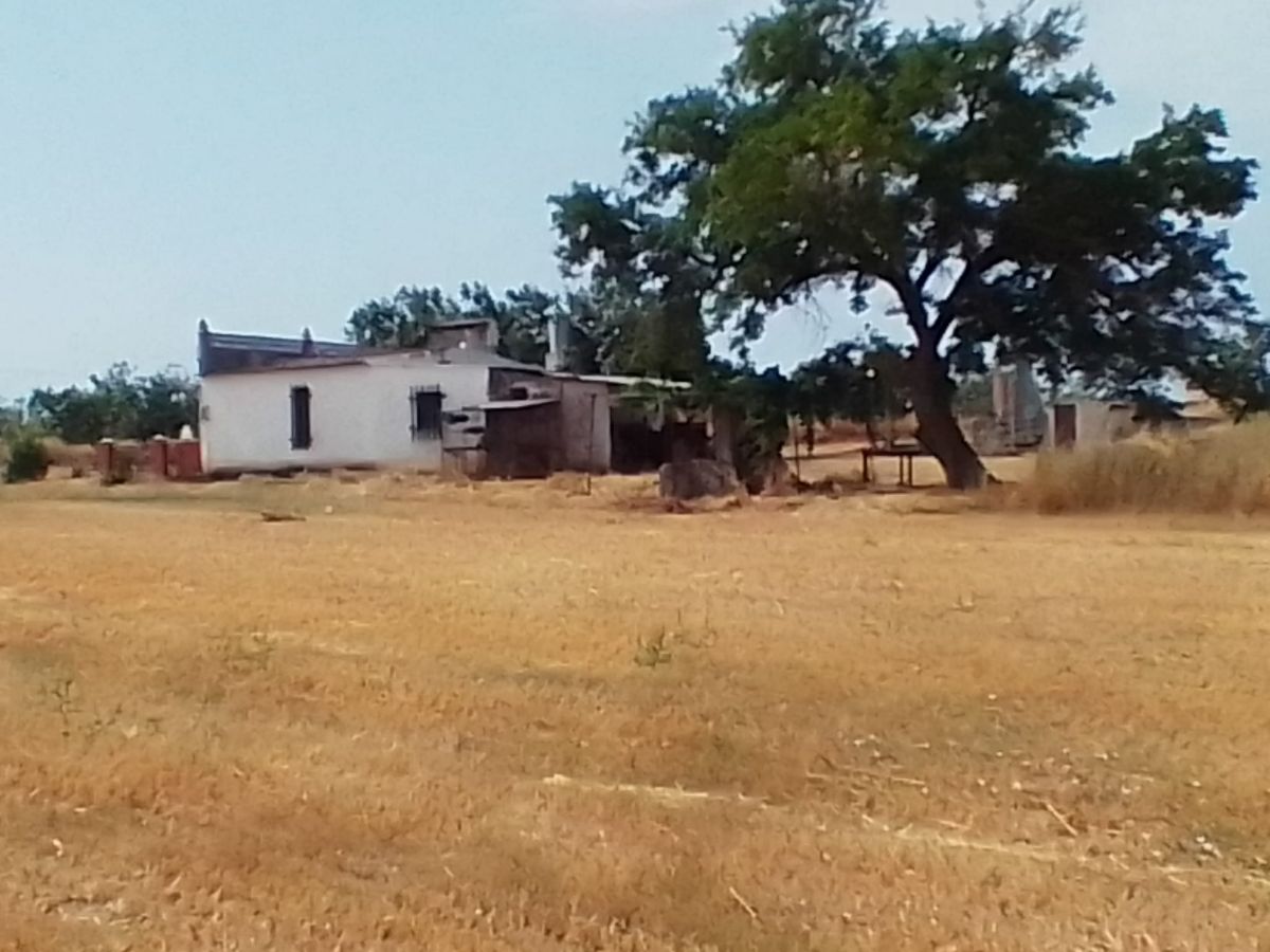 Venta de piso en Almendral