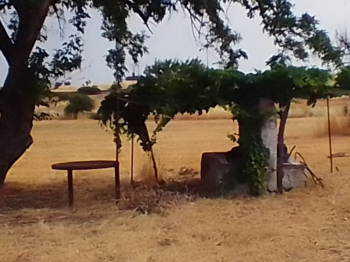 Venta de piso en Almendral