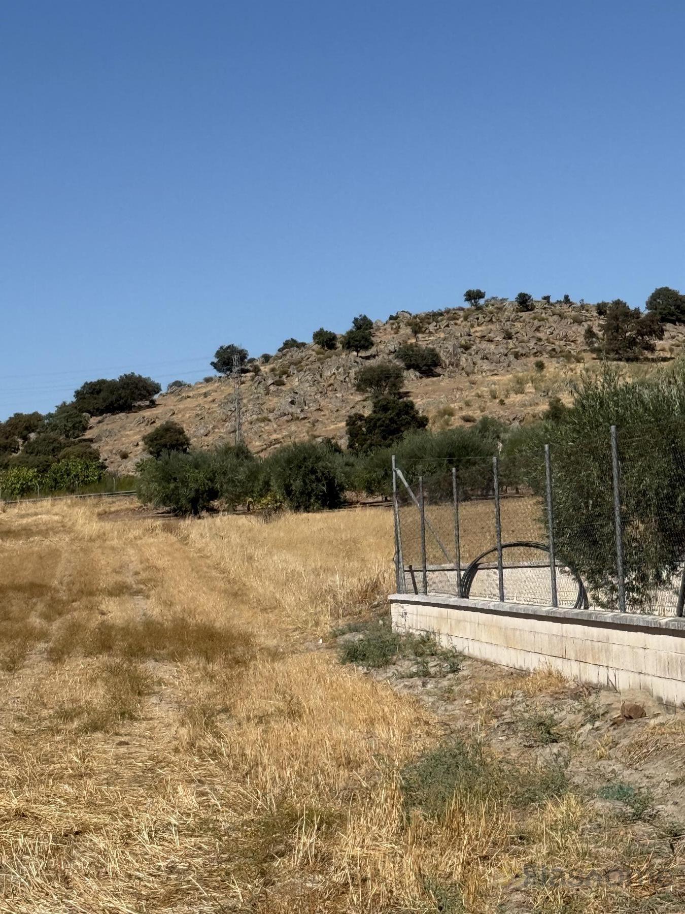 Venta de terreno en Santa Amalia