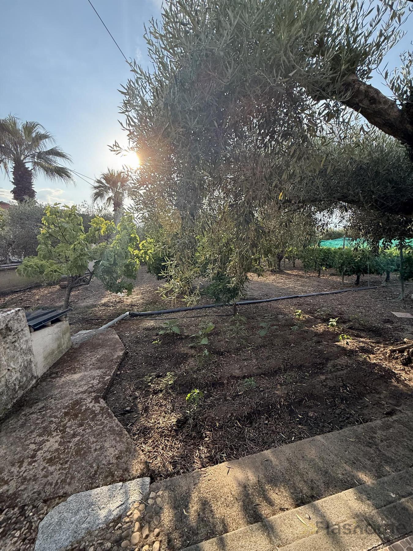 Venta de casa en Santa Amalia
