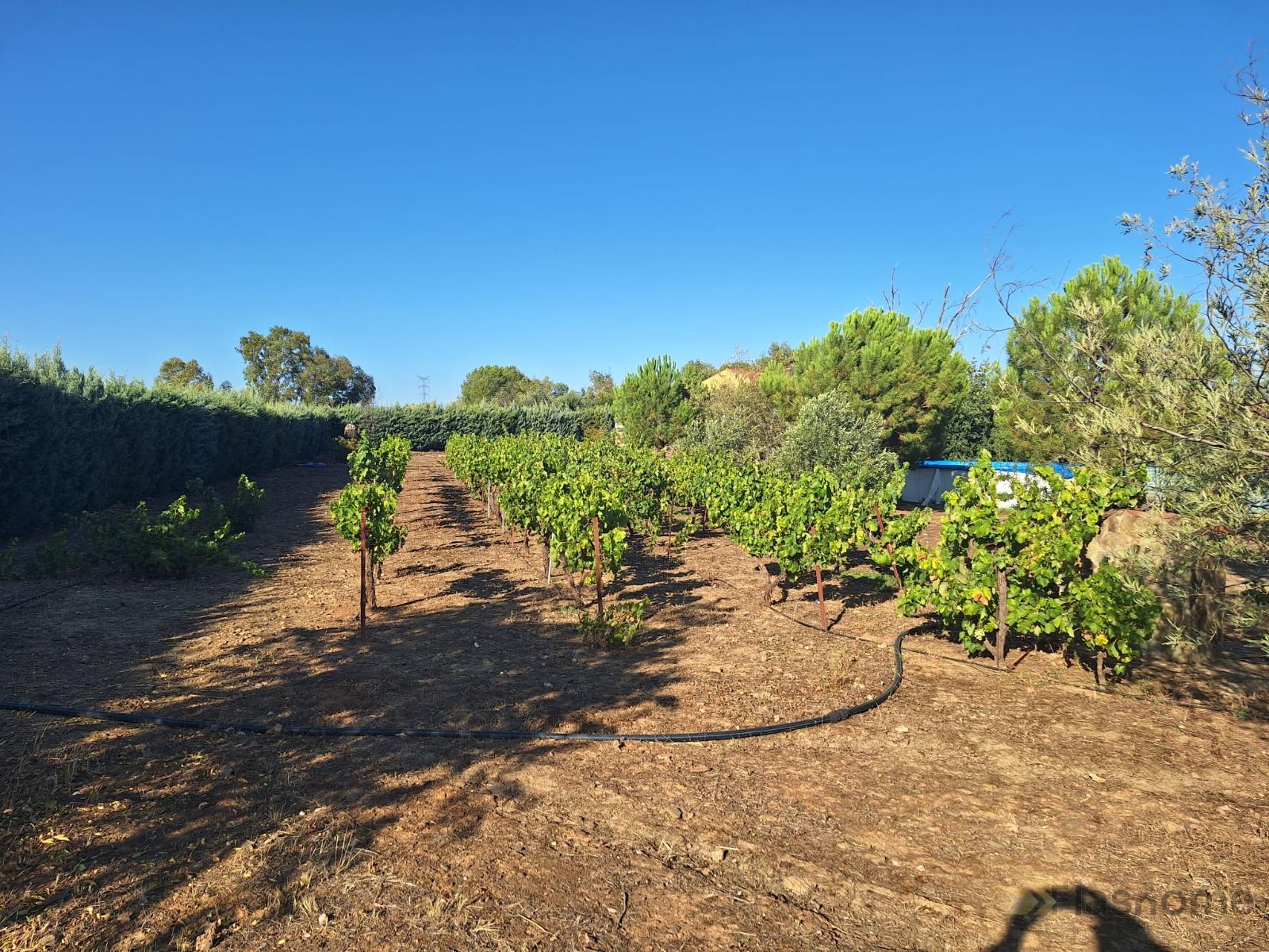 For sale of land in La Coronada
