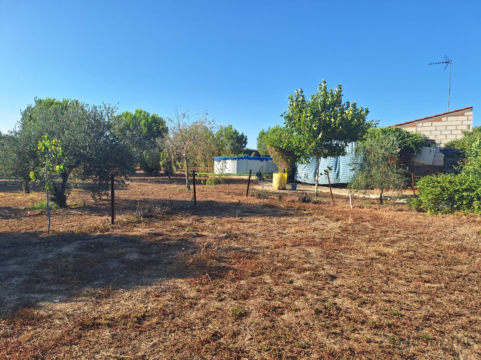 For sale of land in La Coronada