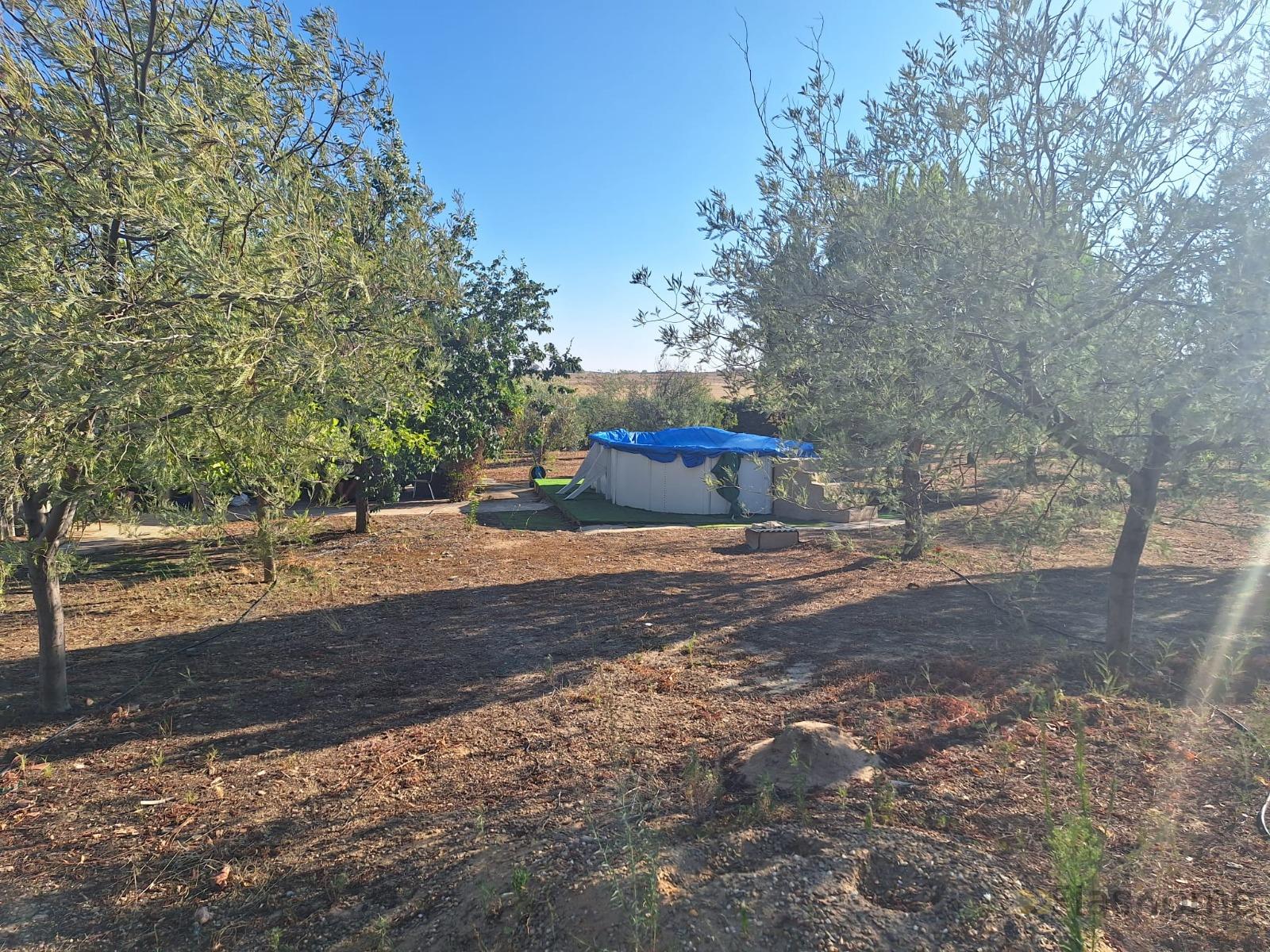 For sale of land in La Coronada