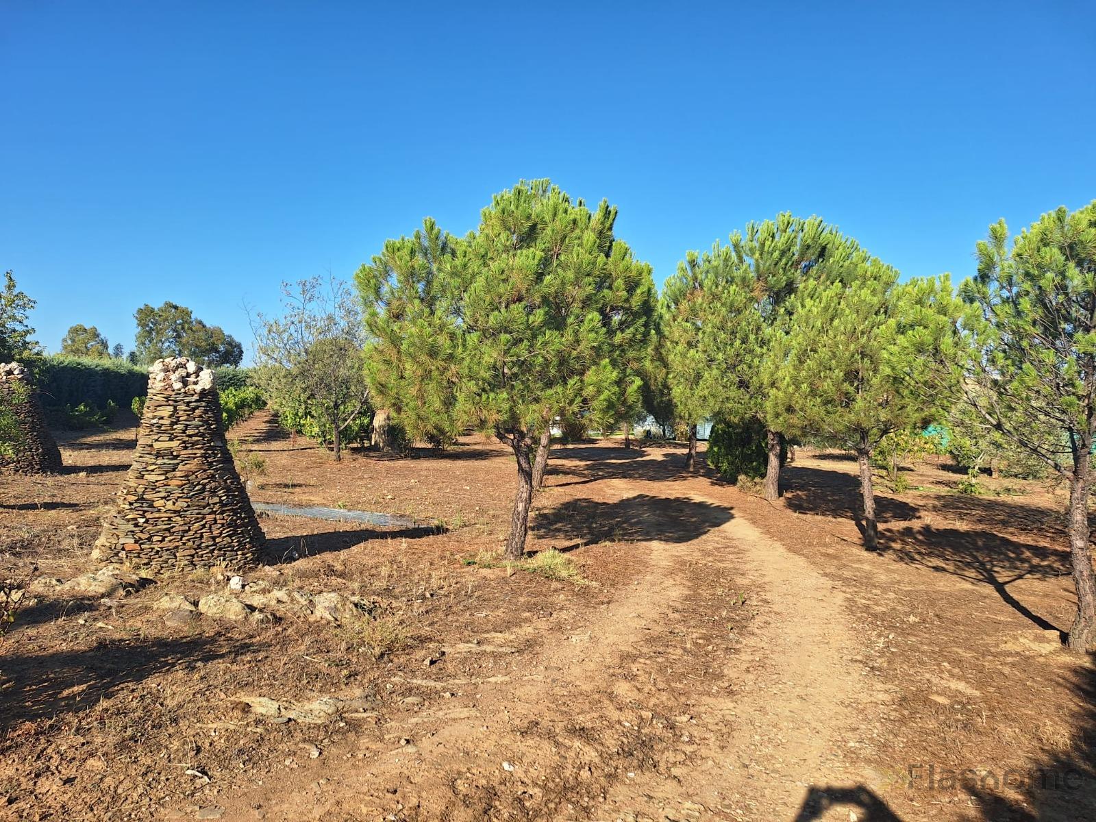 For sale of land in La Coronada