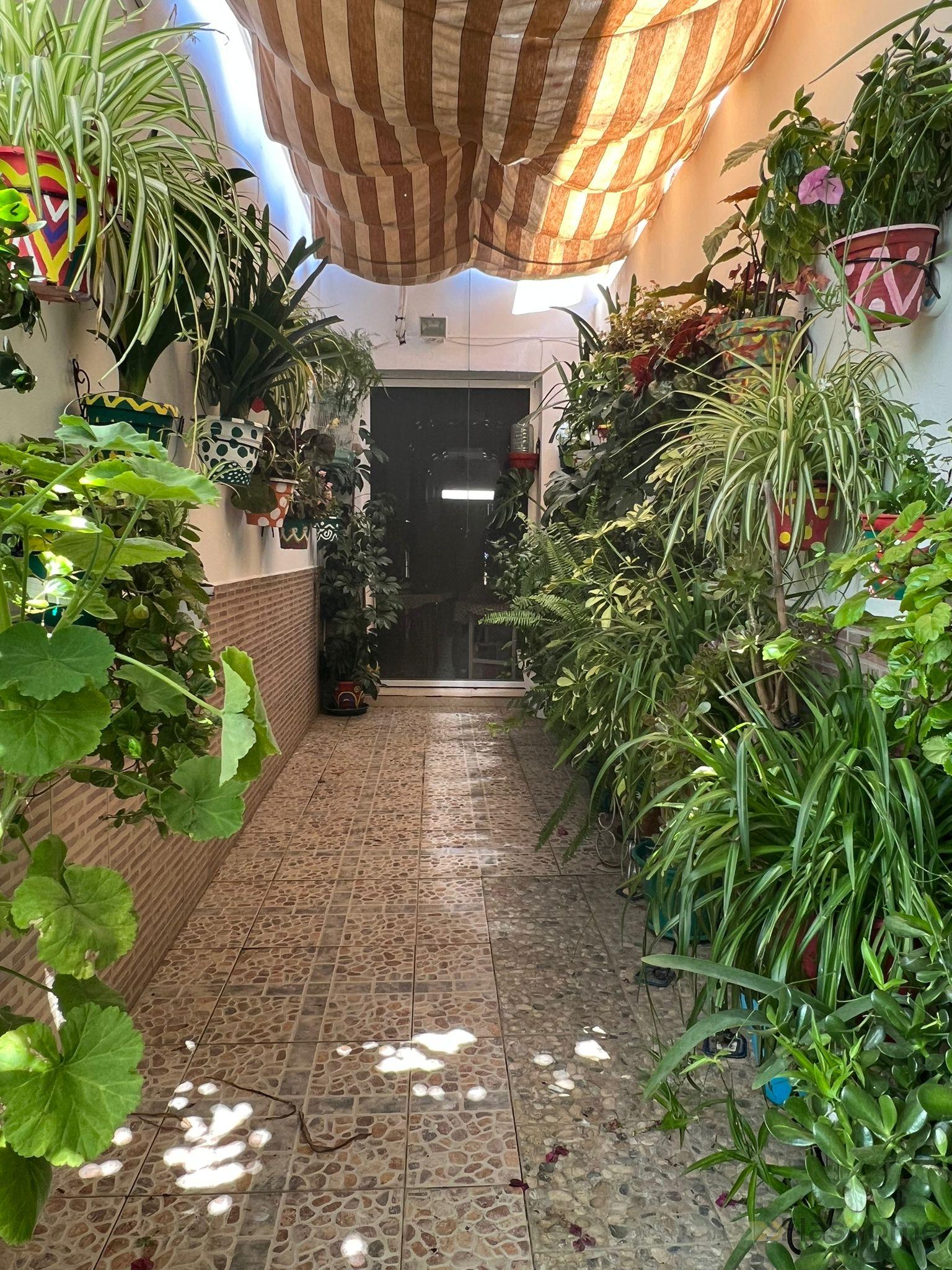 For sale of duplex in Santa Amalia