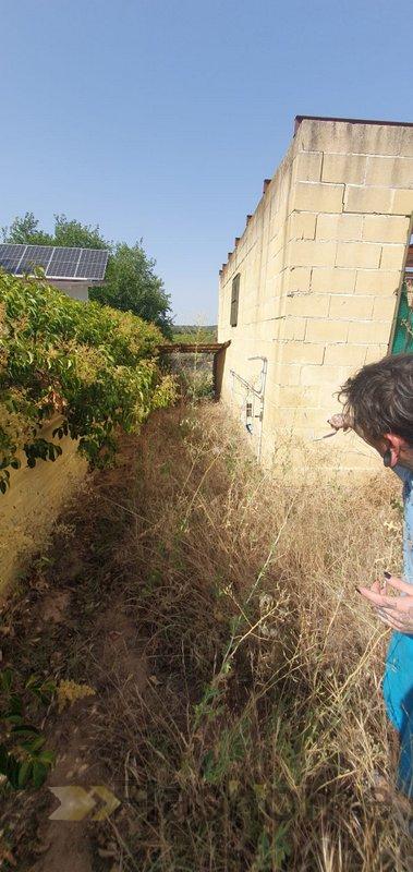 For sale of land in Badajoz