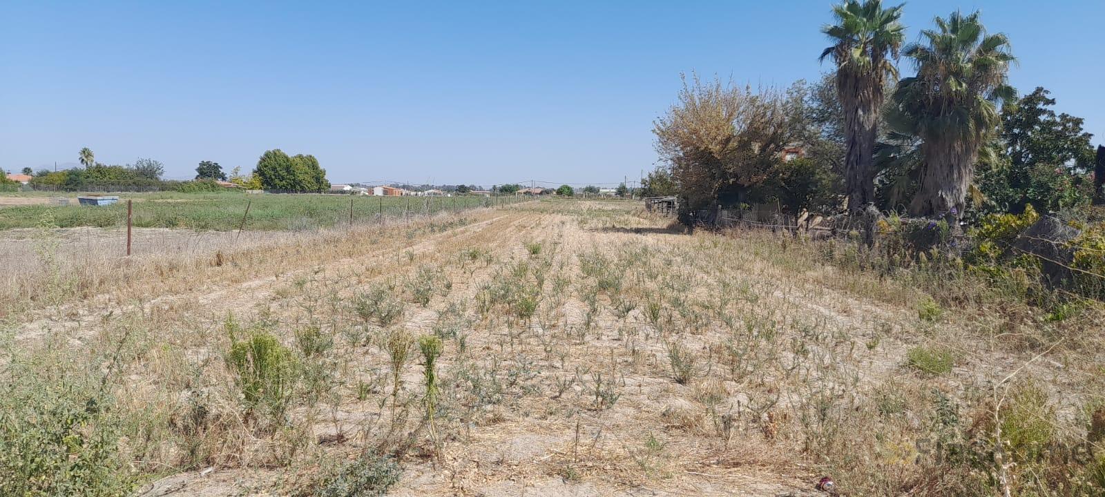 Terreno en venta en Carretera Medellín , Don Benito