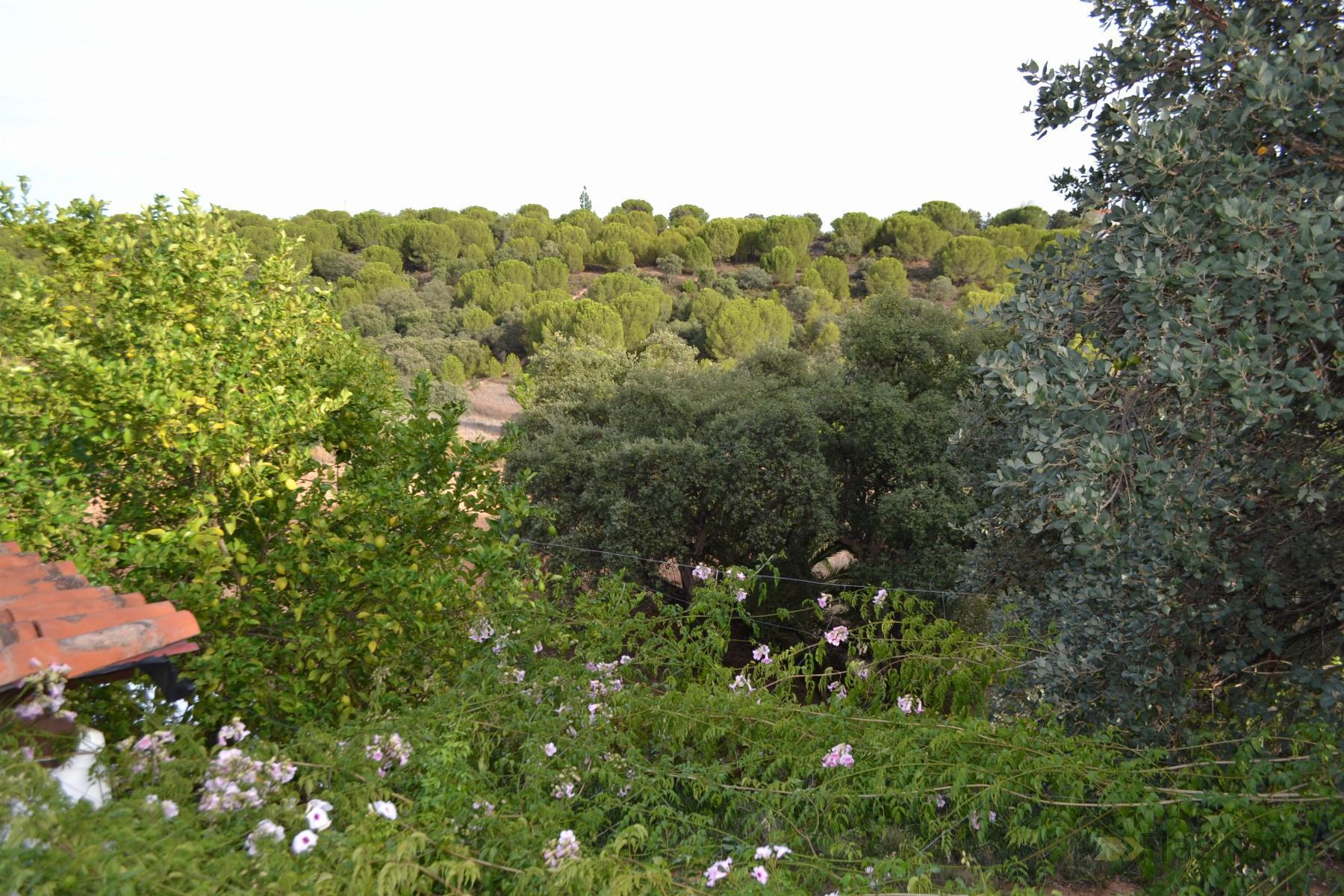 For sale of chalet in Badajoz