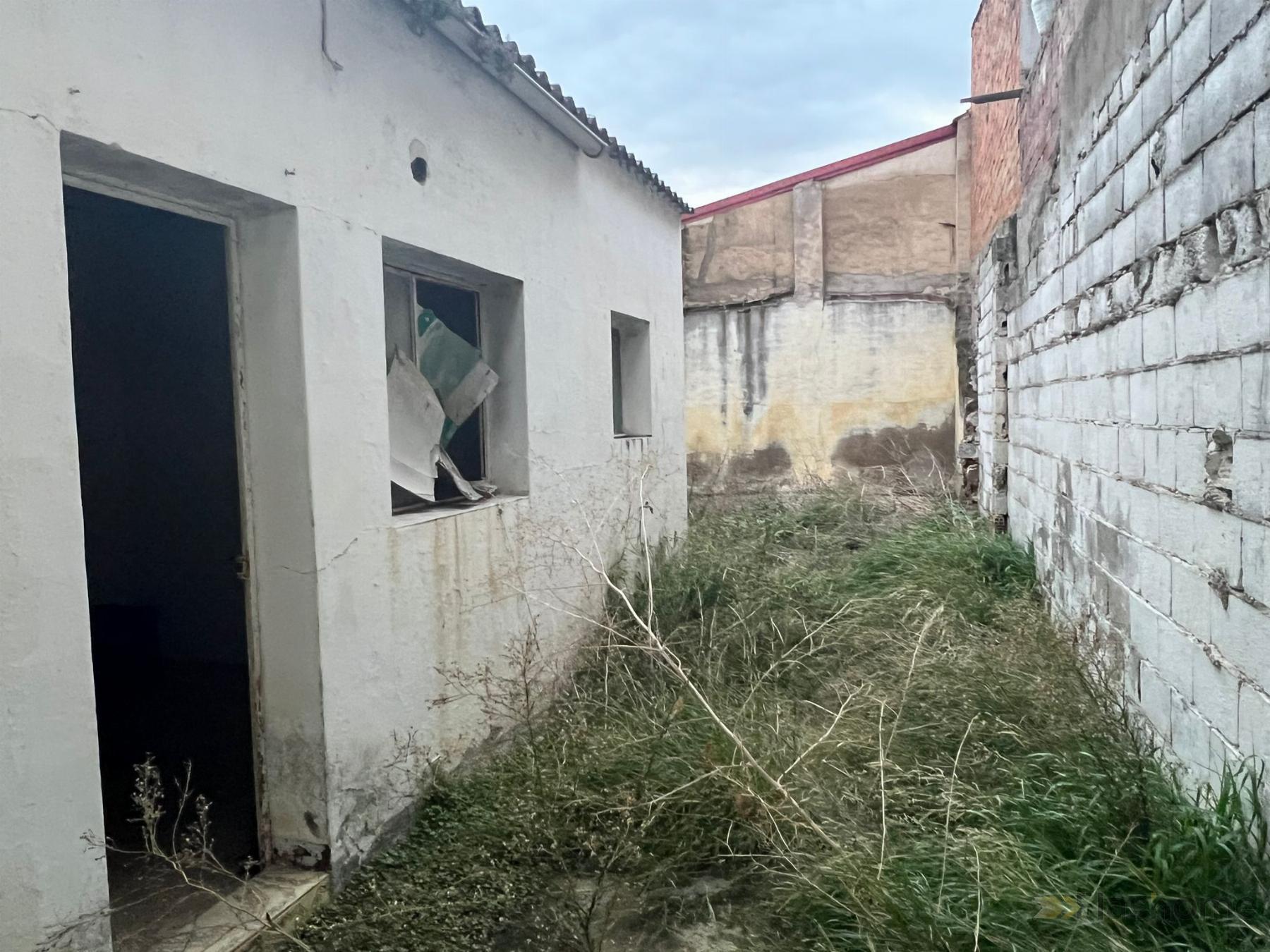 For sale of house in Santa Amalia