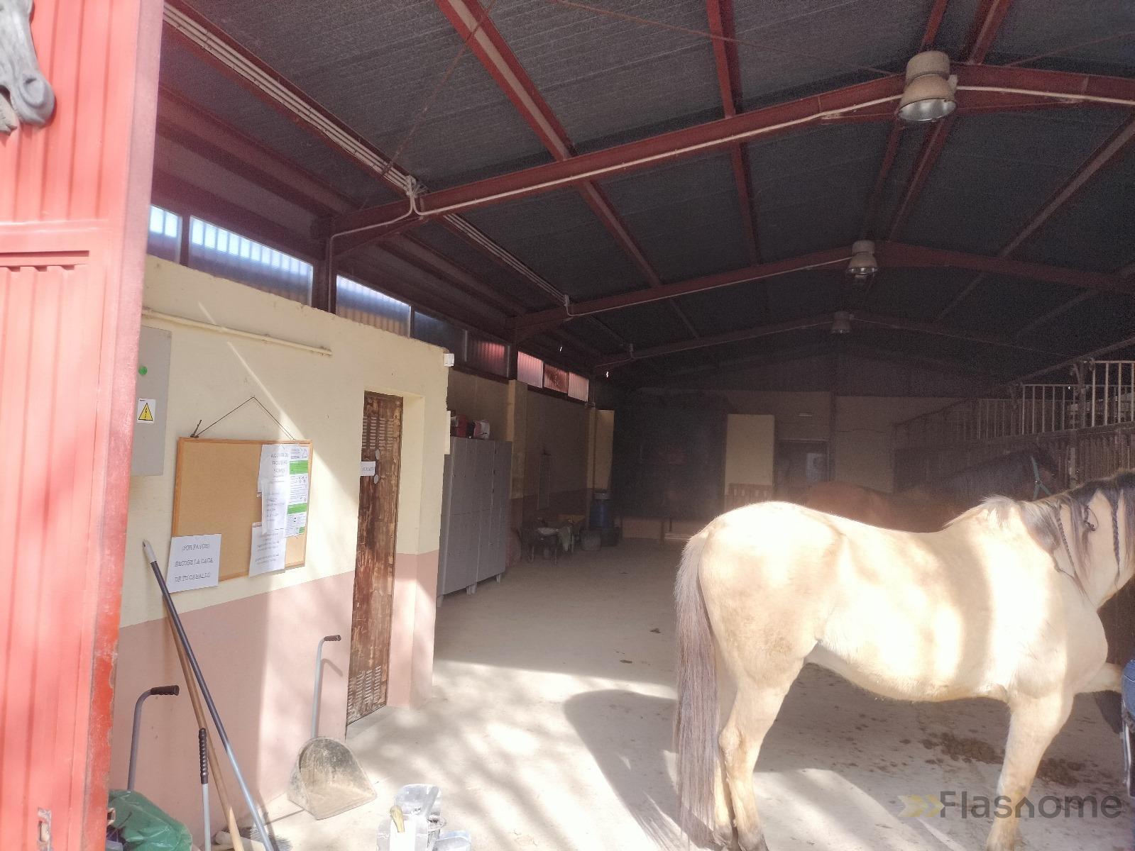 For sale of rural property in La Zubia