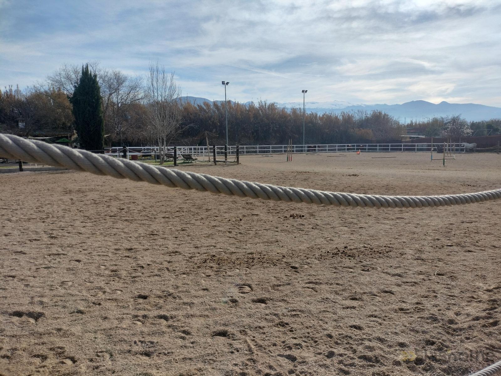 For sale of rural property in La Zubia