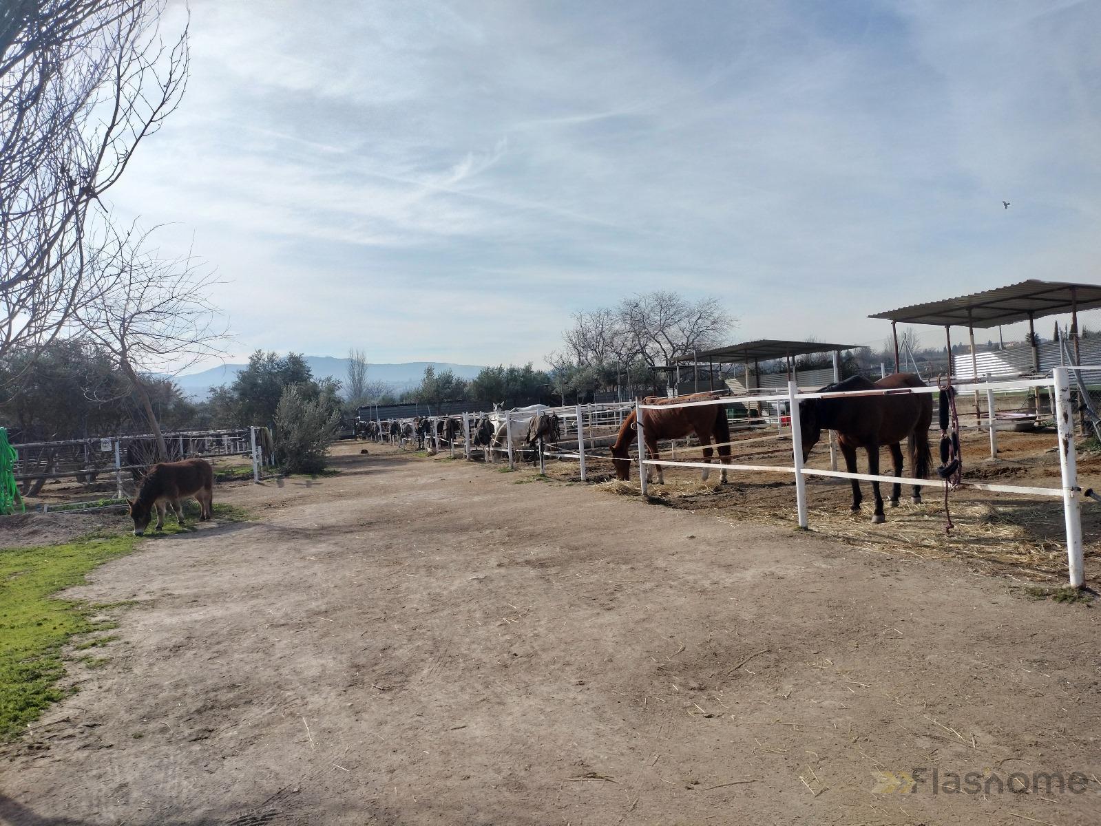 For sale of rural property in La Zubia