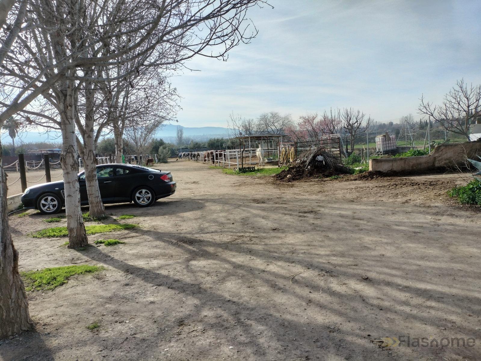 For sale of rural property in La Zubia