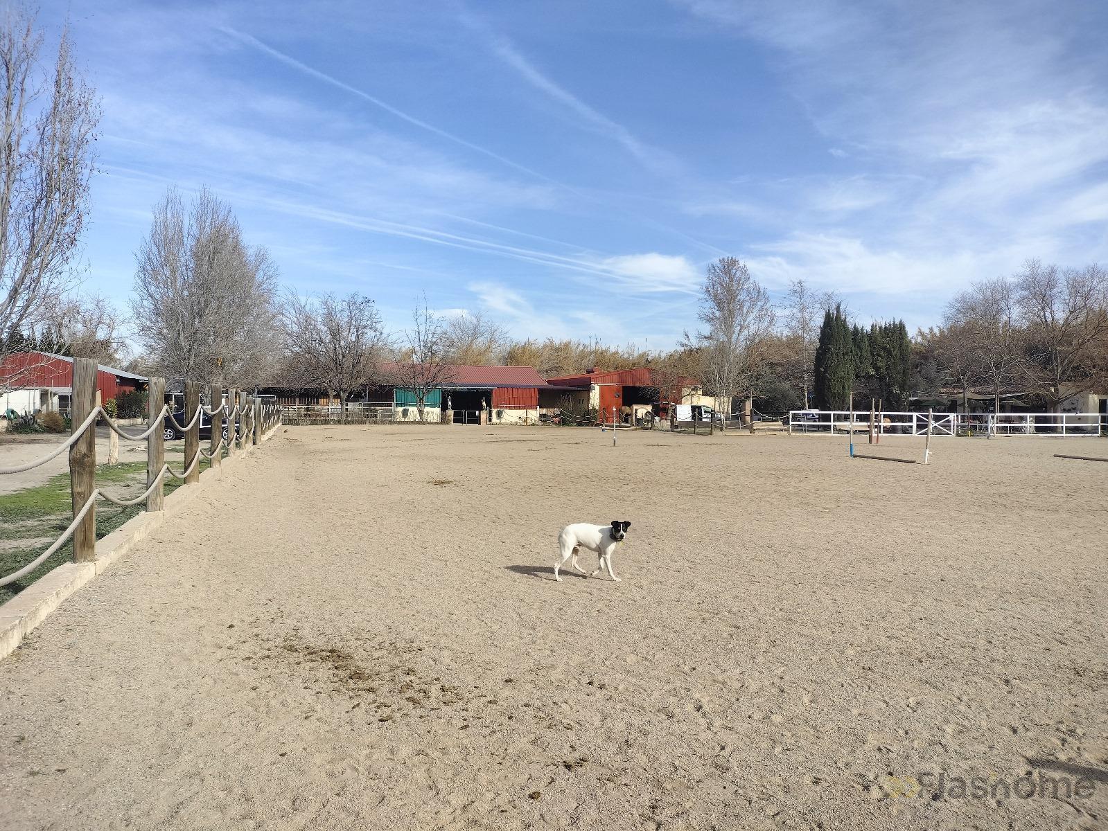 For sale of rural property in La Zubia