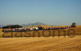 For sale of rural property in Mérida