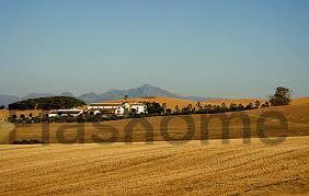 Venta de finca rústica en Mérida