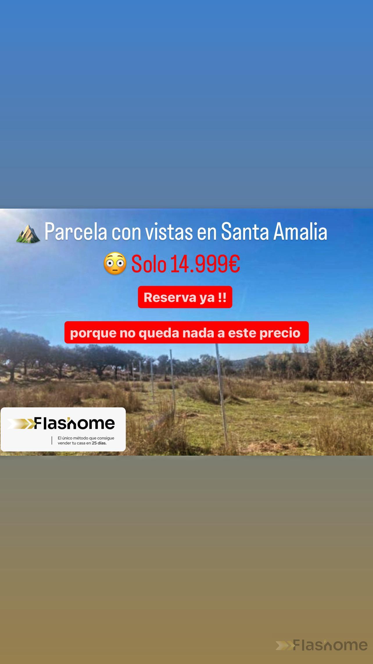 For sale of land in Santa Amalia