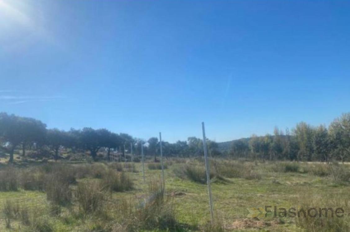 For sale of land in Santa Amalia