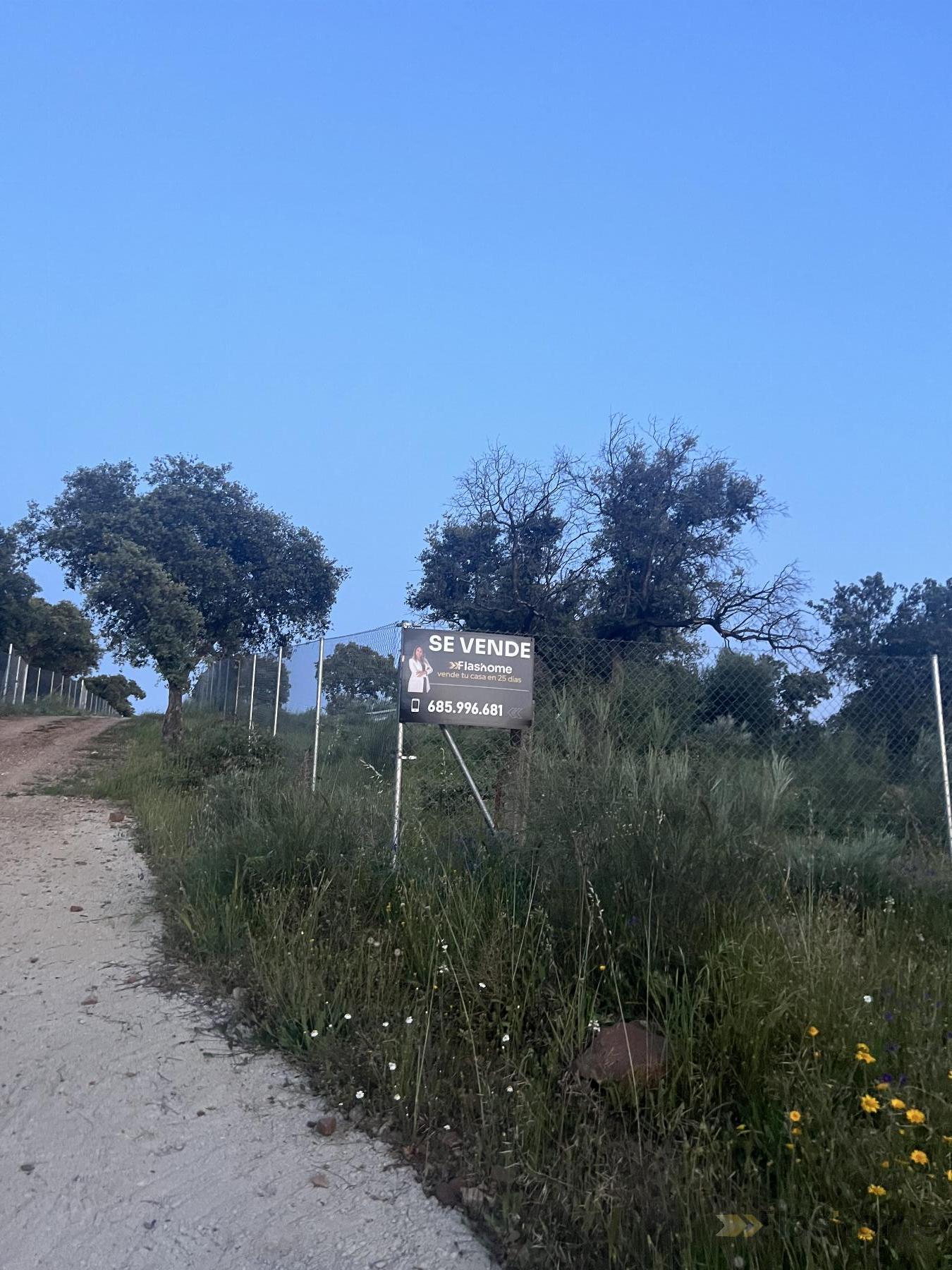 For sale of land in Santa Amalia
