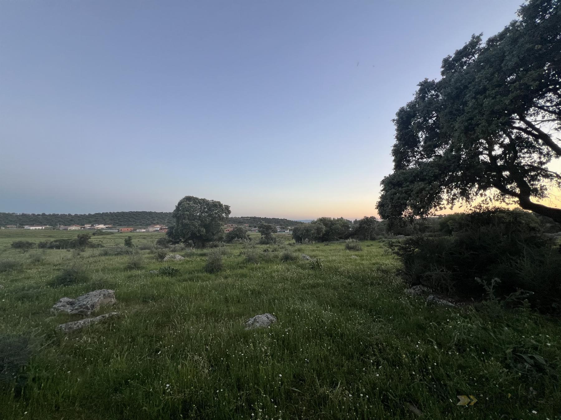 For sale of land in Santa Amalia