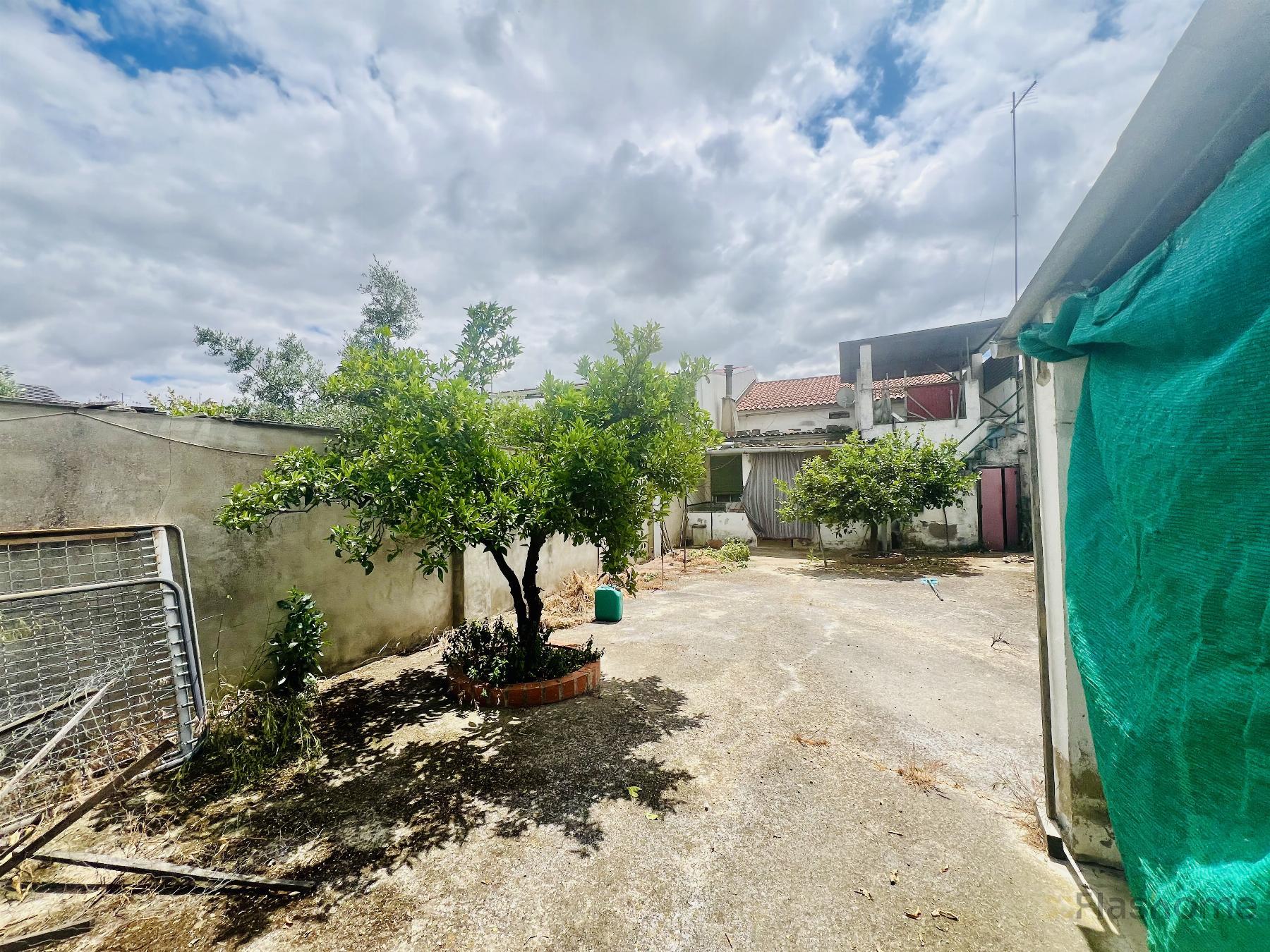 For sale of house in Santa Amalia