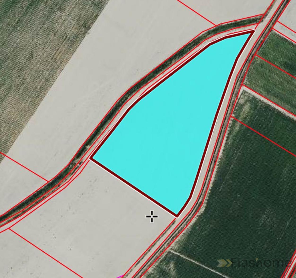 For sale of land in Santa Amalia