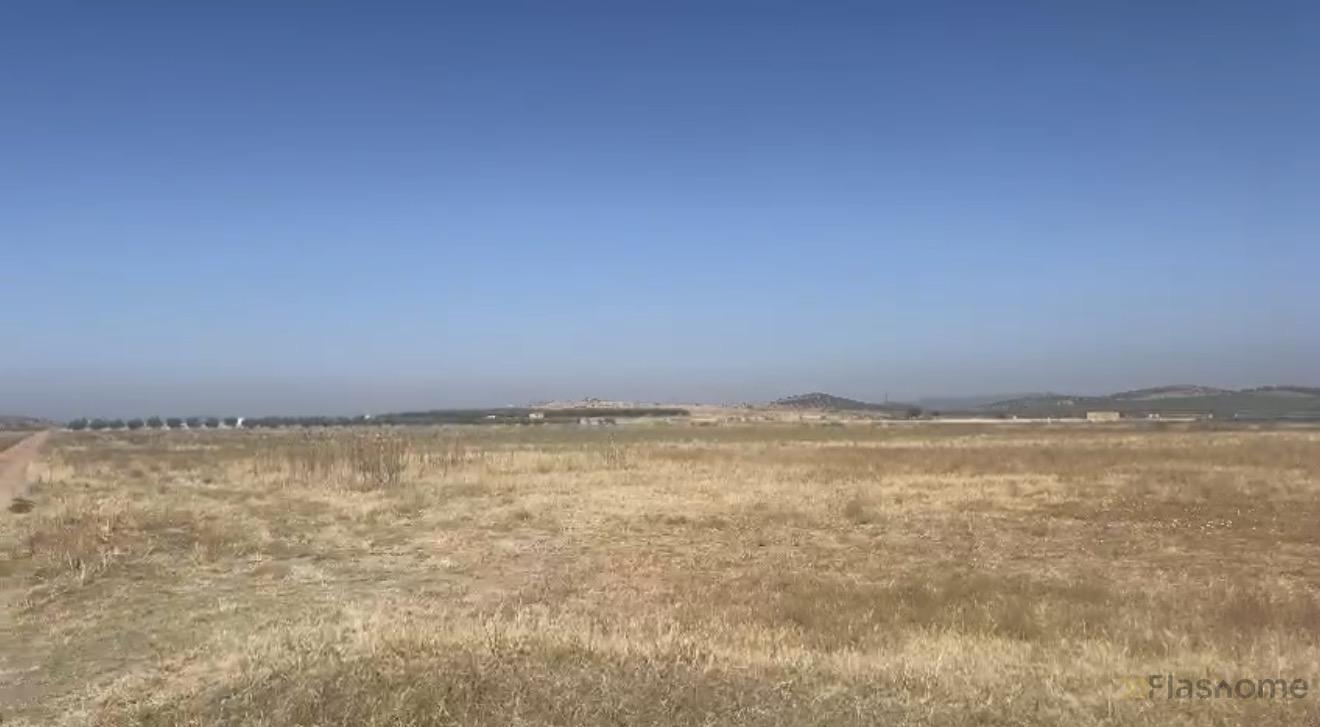 Venta de finca rústica en Santa Amalia